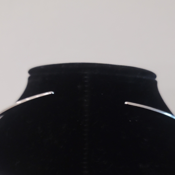 Stainless Steel Collar NWT - Picture 3 of 7